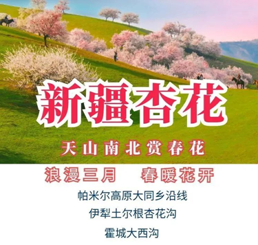 1708588539644530.png